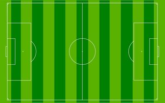 开云体育下载-国足主场比赛战术布置与得分模型关联，国足阵容战术