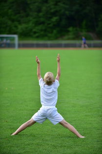 开云体育下载-高校运动训练计划动态调整机制研究，运动训练调控